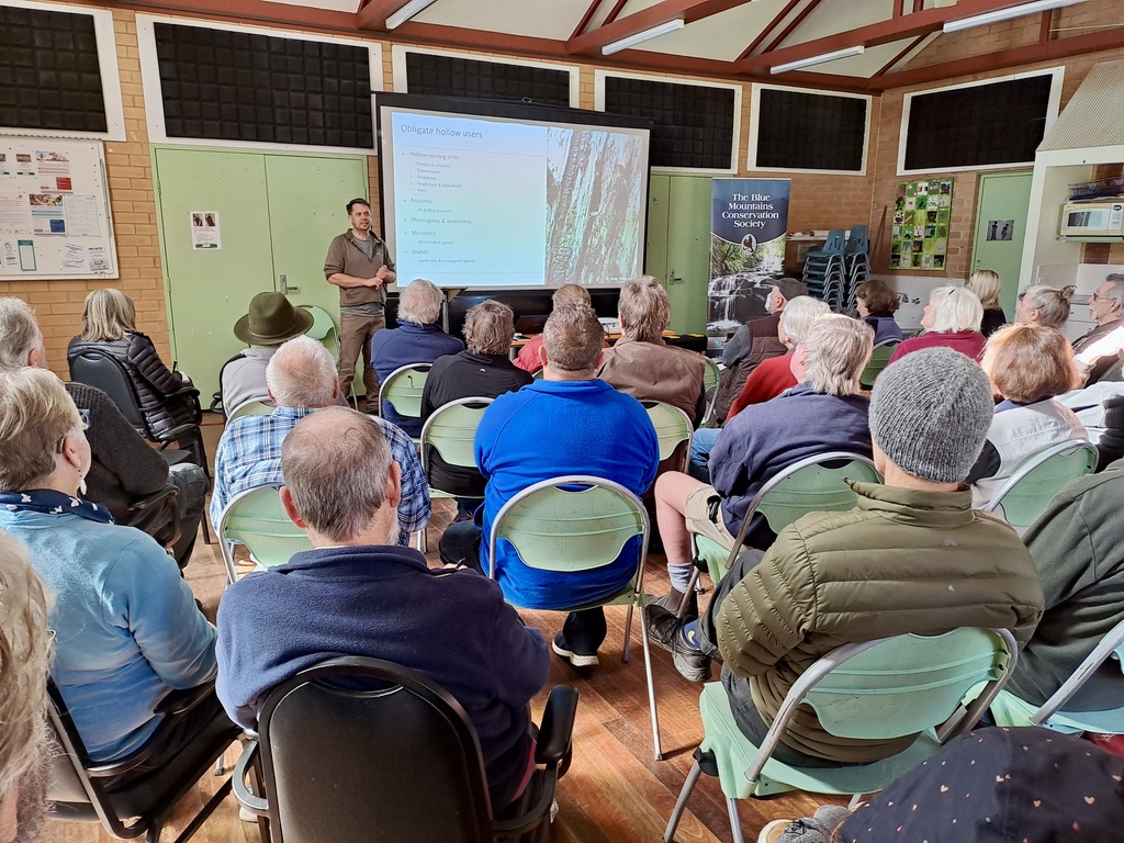 Peter Ridgeway discussing the species of fauna that require hollows