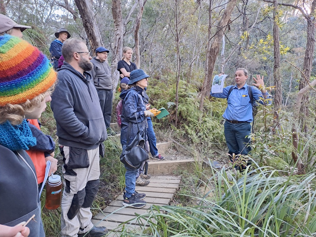 Weed Walk and Talk in Hazelbrook