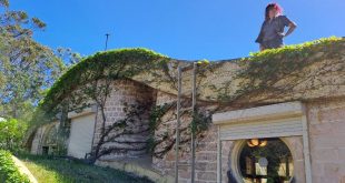 green roof on blue mountains house