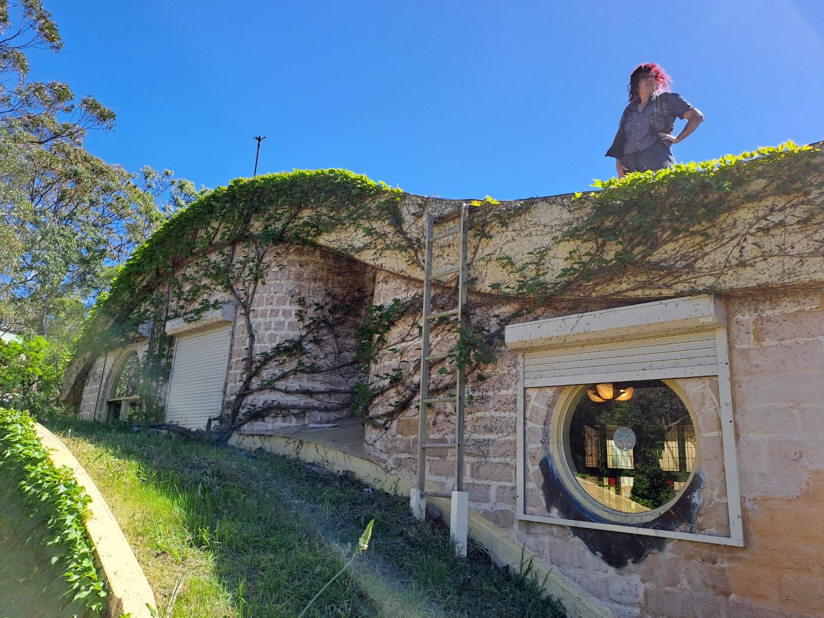 green roof on Blue Mountains house