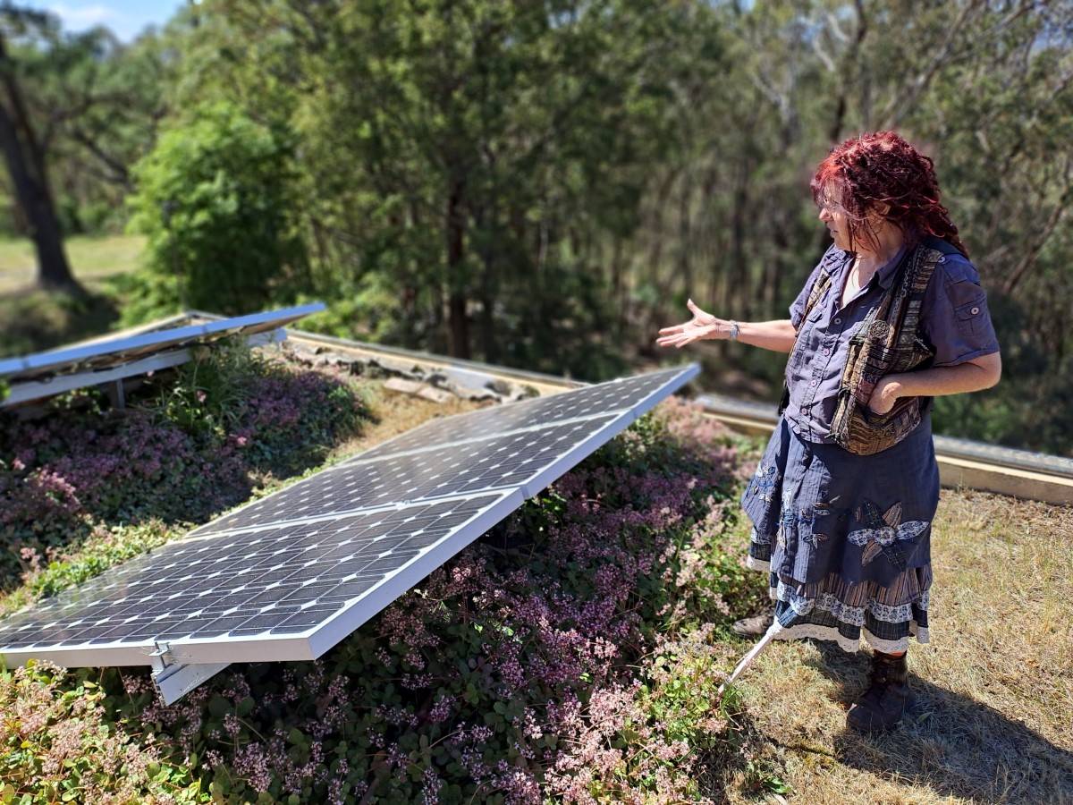 solar panels on green roof