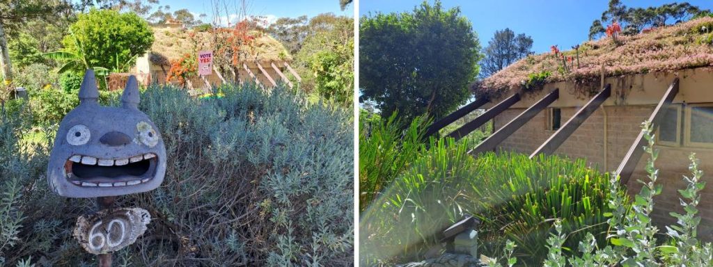 green roof on mudbrick house