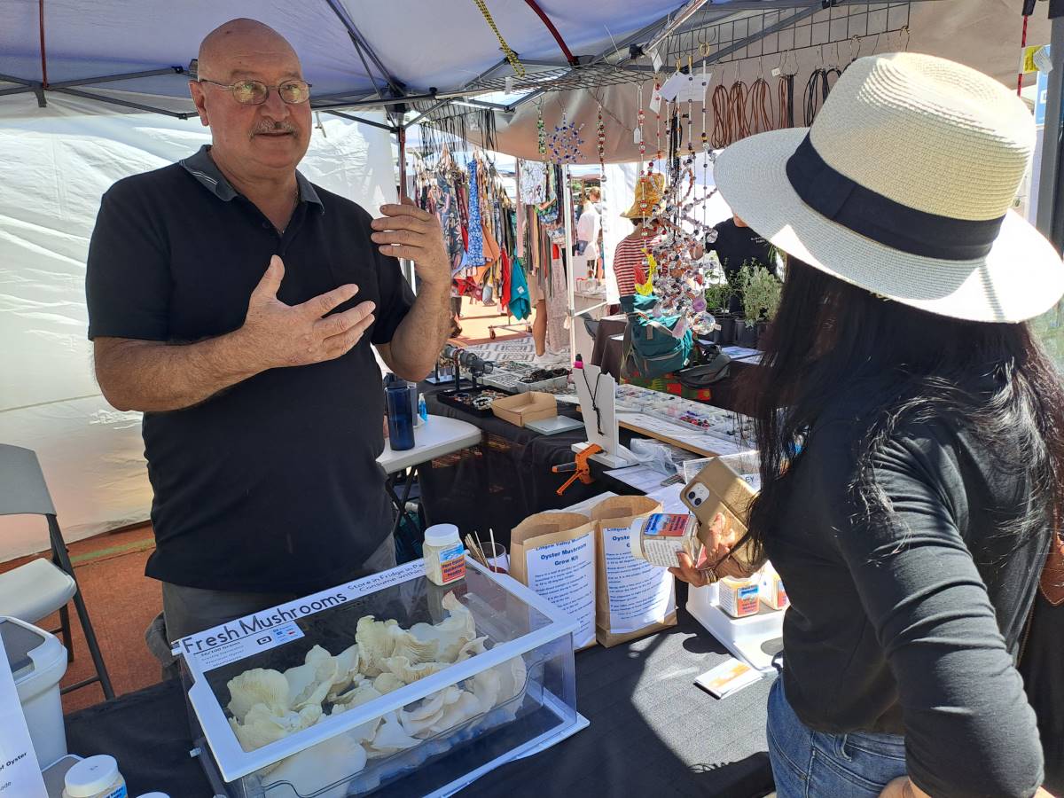 steven from lithgow valley mushrooms at magpie markets