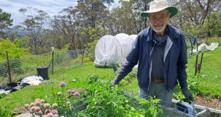 mid mountains community garden