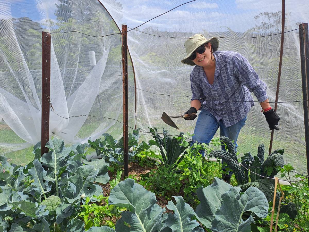 Kathy volunteering at mid mountains community garden