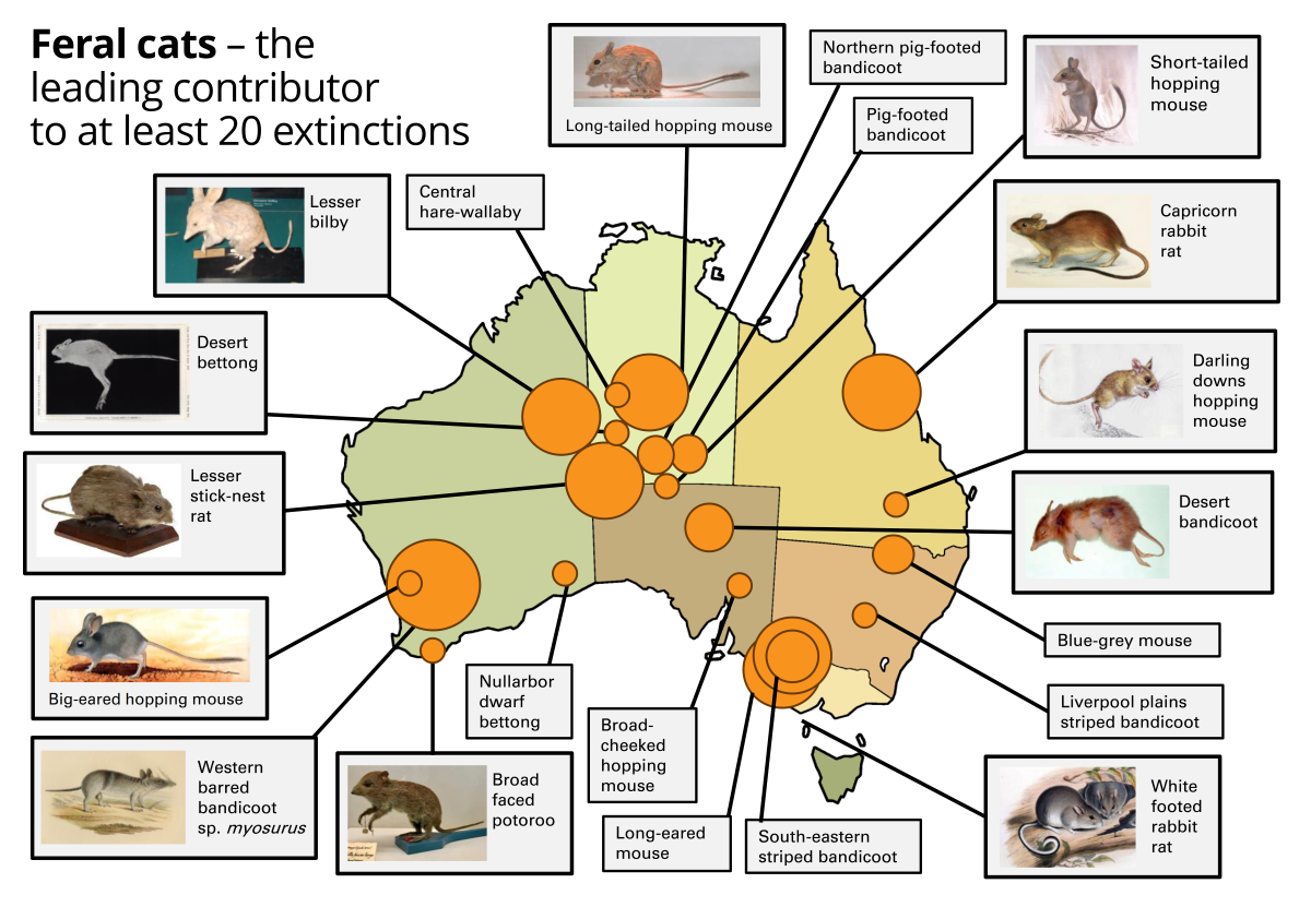 feral cat extinction map