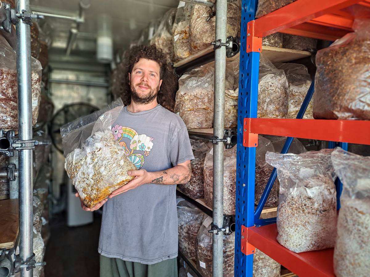 alex at earth rising mushroom farm