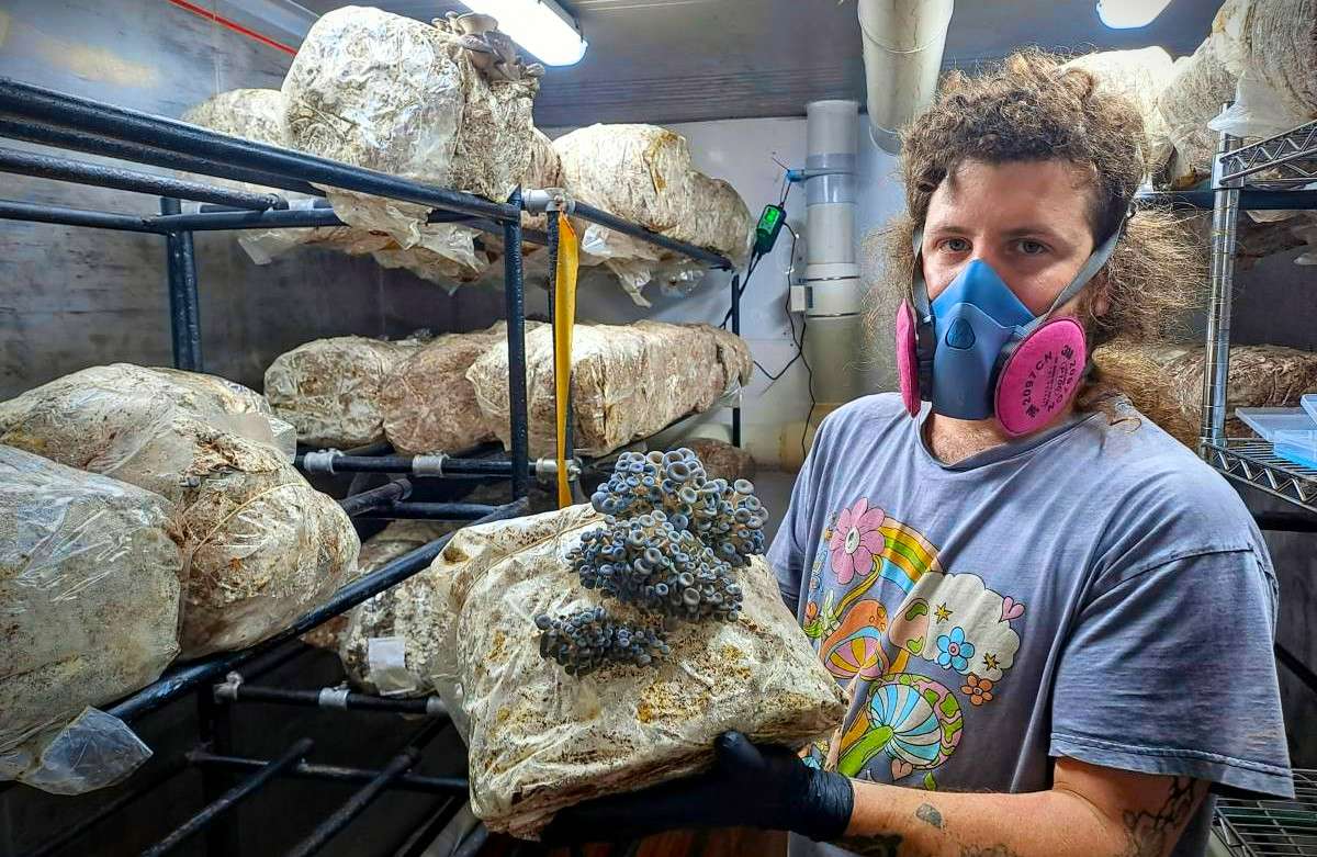 Alex at Earthrising mushroom farm in lawson, blue mountains