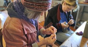 blue mountains repairers