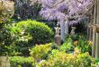 2024 Mid Mountains garden festival
